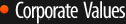 Corporate Values