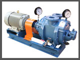 Vacuum Pump